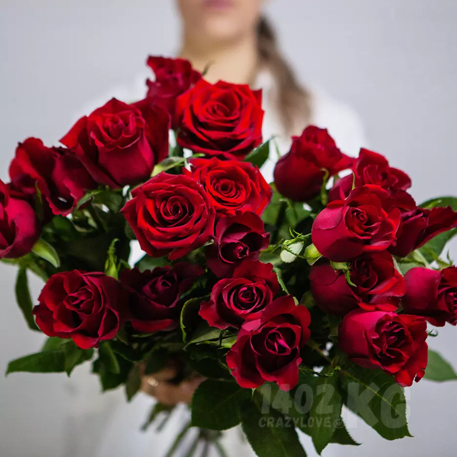 Роза Red Ribbon, красный 1 шт